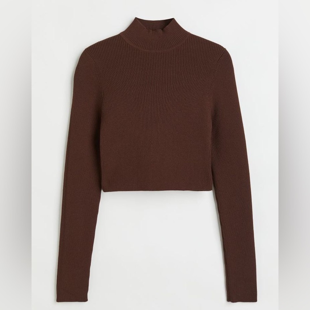 H&M Divided Ribbed Cropped Mock Neck Sweater